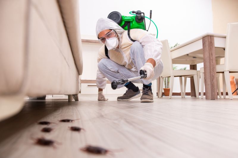 Ants Extermination Service