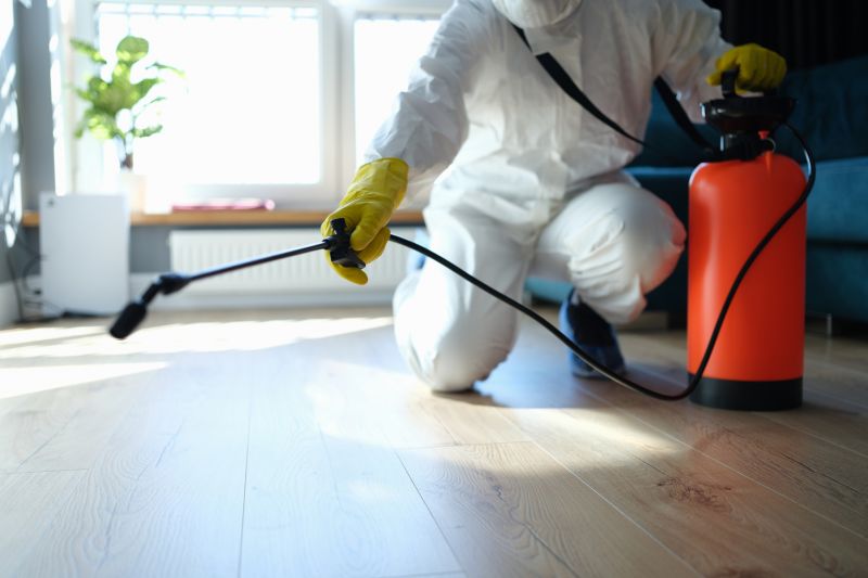 Red Ant Extermination